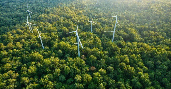 Reduza Sua Pegada de Carbono: Contribua para um Futuro Sustentável