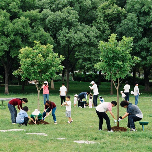 Guia para Criar um Programa de Educação Ambiental Eficaz e Promover Práticas Sustentáveis