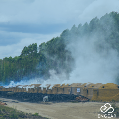 Estudo de Dispersão Atmosférica para Carvoarias Estudo de Dispersão Atmosférica para Carvoarias