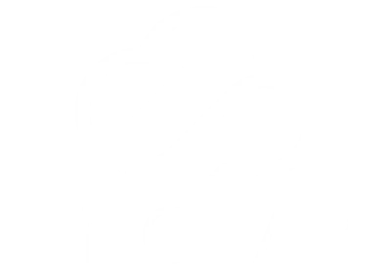 ENGEAR CONSULTORIA