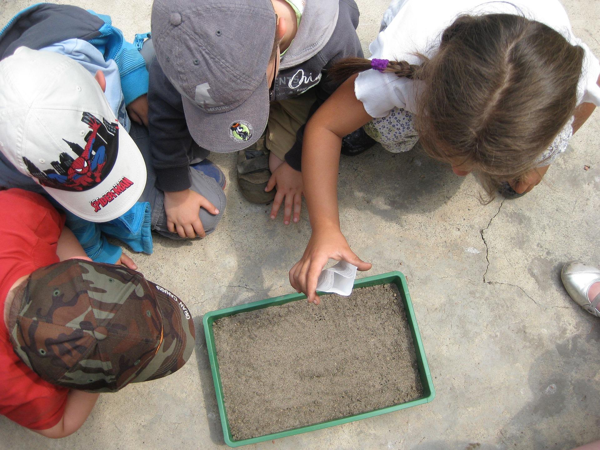 Serviços de Educação ambiental