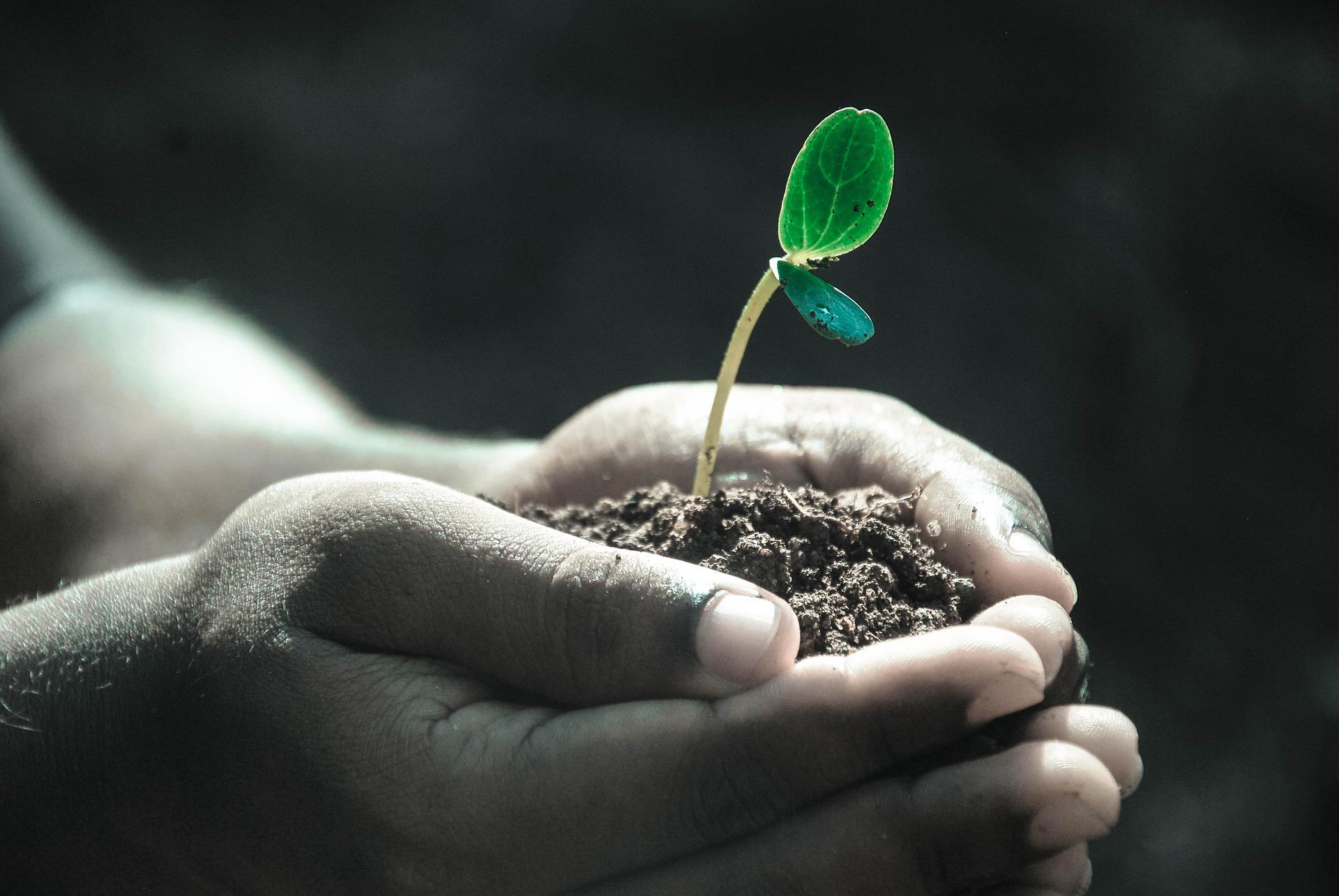 Serviços de Educação ambiental